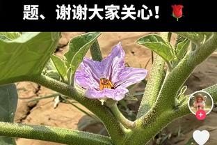 范晓冬点评张琳芃、王燊超，网友留言：再评下前队友王寿挺